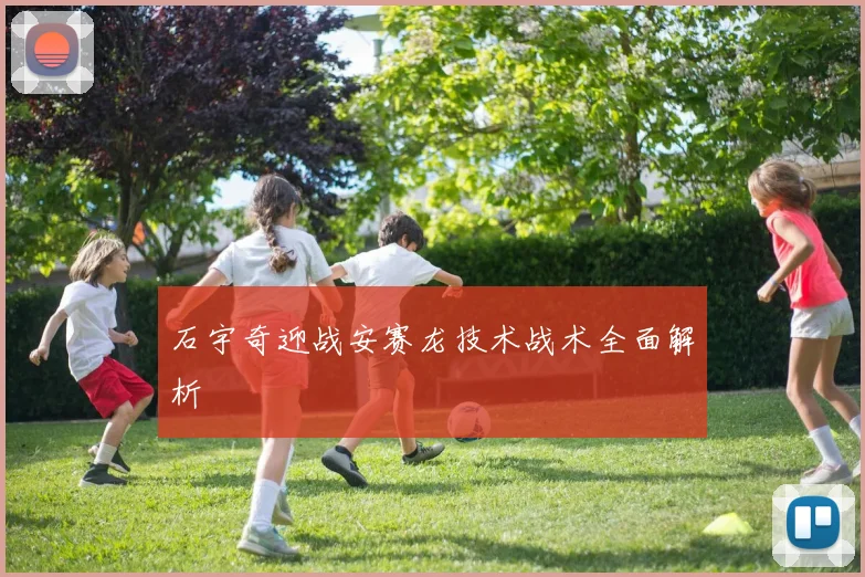 石宇奇迎战安赛龙技术战术全面解析